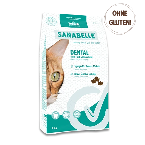 Offizielles Produktbild: Dental