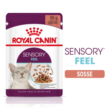 Offizielles Produktfoto: ROYAL CANIN Sensory Feel in Soße für wählerische Katzen