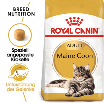 Offizielles Produktfoto: ROYAL CANIN Maine Coon Adult