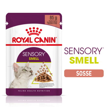 Offizielles Produktfoto: ROYAL CANIN Sensory Smell in Soße für wählerische Katzen
