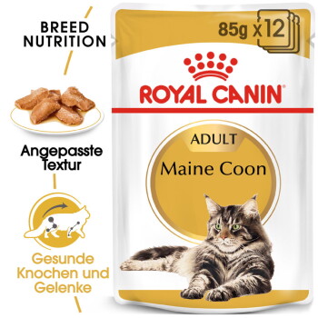 Offizielles Produktfoto: ROYAL CANIN Maine Coon Adult in Soße