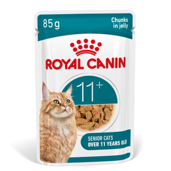 Offizielles Produktfoto: ROYAL CANIN Nassfutter Katze, Senior Ageing 11+, Gelee