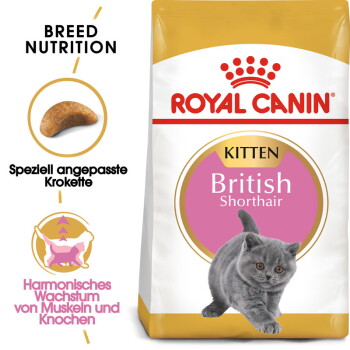 Offizielles Produktfoto: ROYAL CANIN British Shorthair Kitten