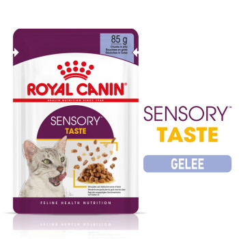Offizielles Produktfoto: ROYAL CANIN SENSORY Taste in Gelee für wählerische Katzen