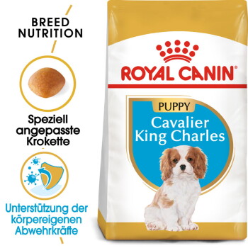 Offizielles Produktfoto: ROYAL CANIN Cavalier King Charles Puppy