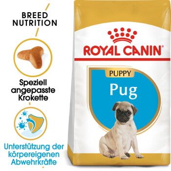 Offizielles Produktfoto: ROYAL CANIN Mops Puppy