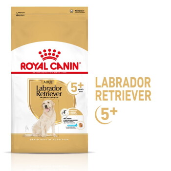Offizielles Produktfoto: ROYAL CANIN Labrador Retriever 5+ Adult