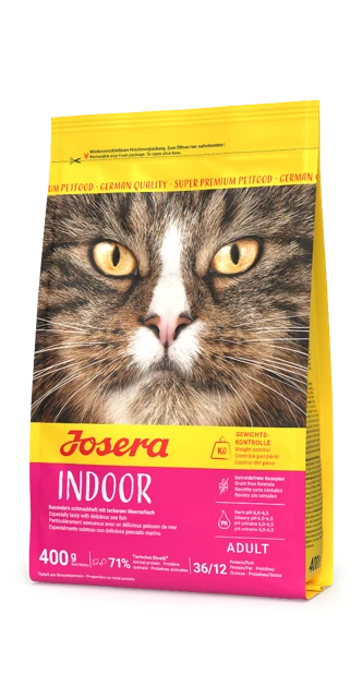 Offizielles Produktbild: Indoor Cat