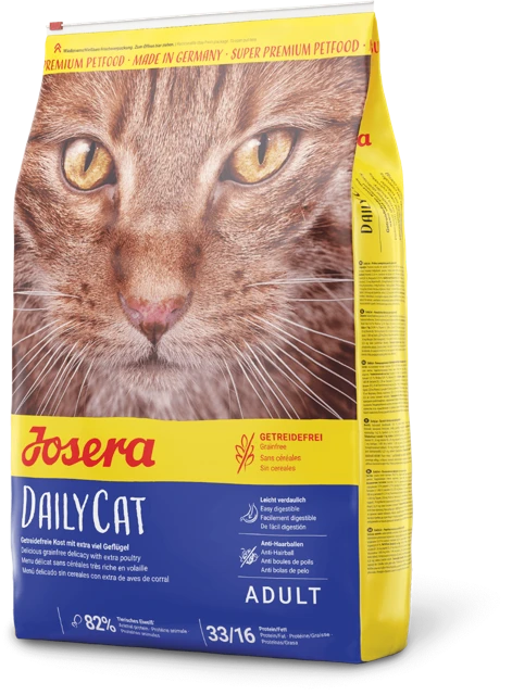 Offizielles Produktbild: DailyCat