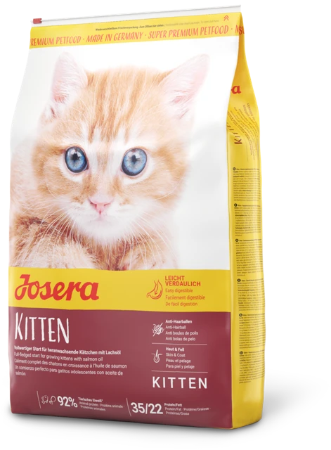 Offizielles Produktbild: Kitten