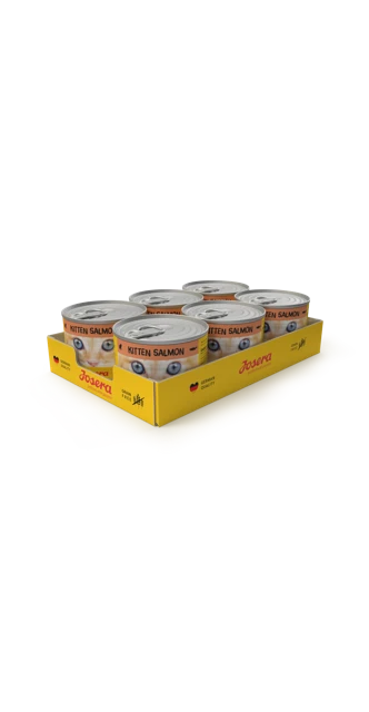 Offizielles Produktbild: Nassfutter Kitten Salmon